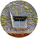 Roof cleaning